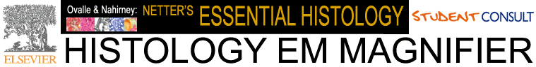 Elsevier: Student Consult: Ovalle and Nahirney: Netter's Essential Histology EM Magnifier